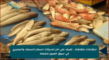 ارتفاعات متفاوتة.. تعرف على آخر تحديثات أسعار السمك والجمبري في سوق العبور للجملة